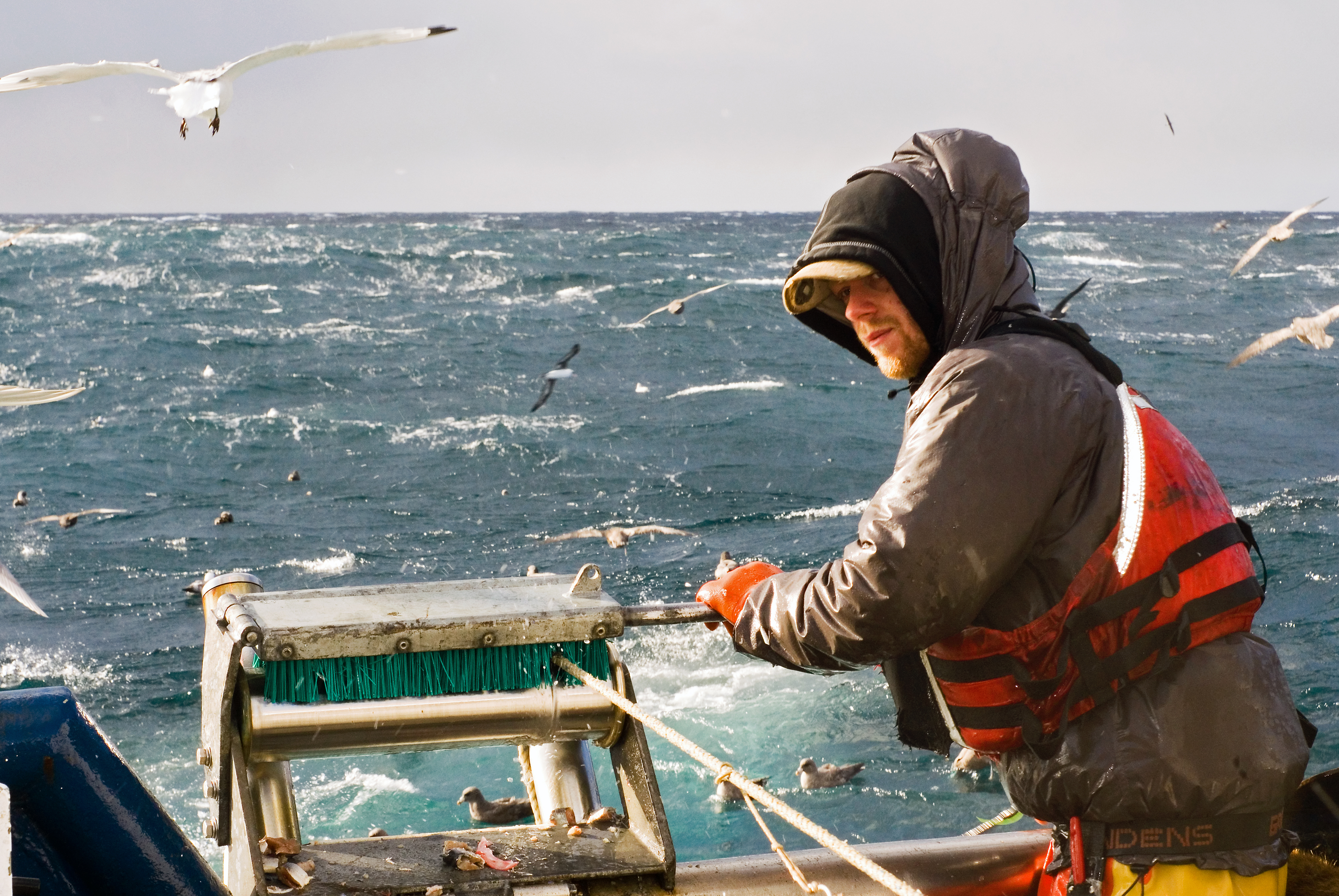Морской рыбный промысел. Охотское море рыболовство. Балтийское море промышленный лов рыбы. Промысел рыбы. Рыбаки на корабле.