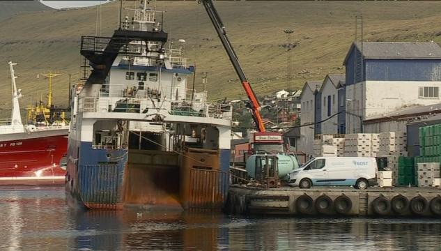 fiskivinna, fiskiskapur, landa fisk, landar fisk