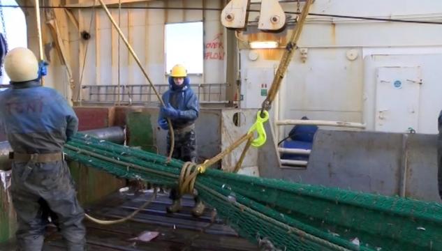 fiskivinna, fiskiskapur, trygd á sjónum, arbeiðsskaðar, skipsdekk