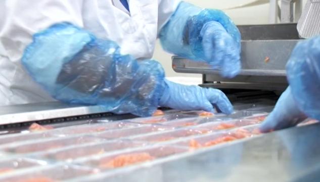 aling, alivinna, aliframleiðsla, fiskivinna, Bakkafrost