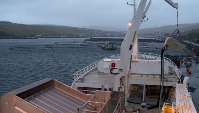 trolbátur miðvágur katrin johanna menningarkvotur