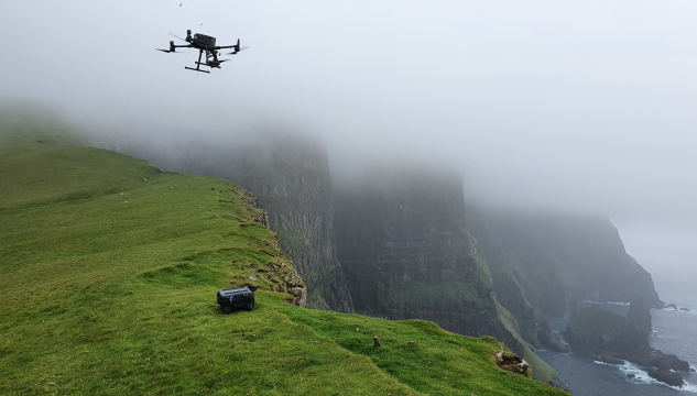 Telja fugl við dronu