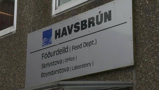 havsbrun6.jpg