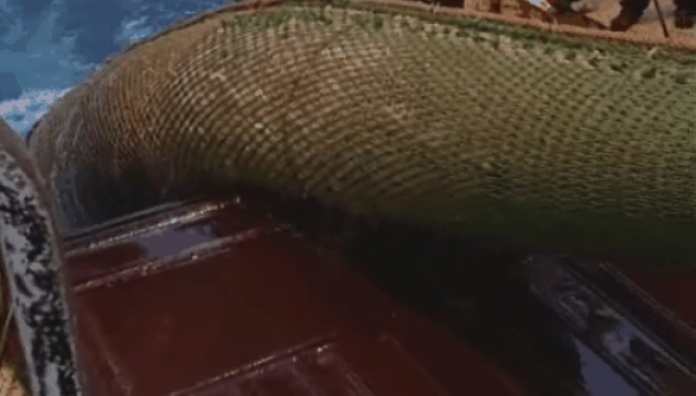 Magnus Heinason, Trolposi