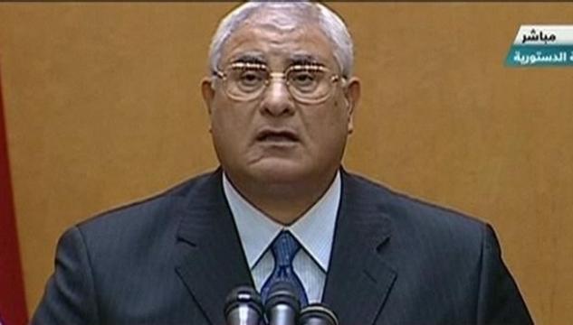 adli mansour.jpg