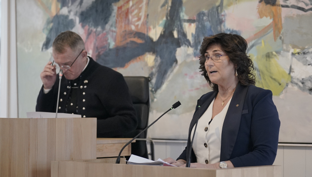 Elsebeth Mercedis Gunnleysdóttir