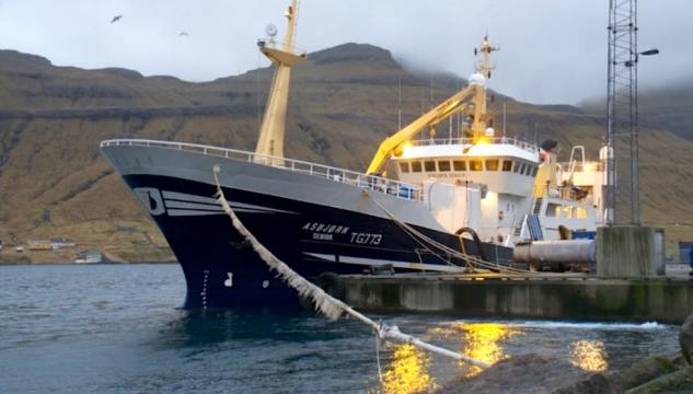 Asbjørn Senior, Ocean Group Faroes