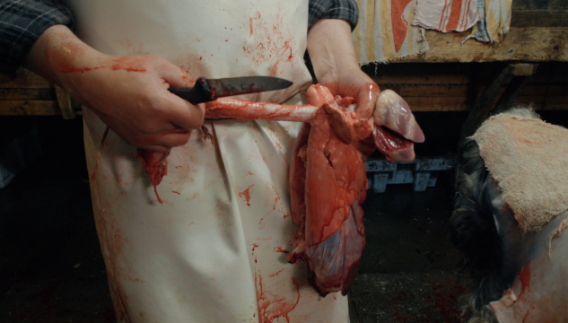 Avroð seyður fletting Spískamarið