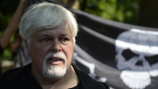 paul watson