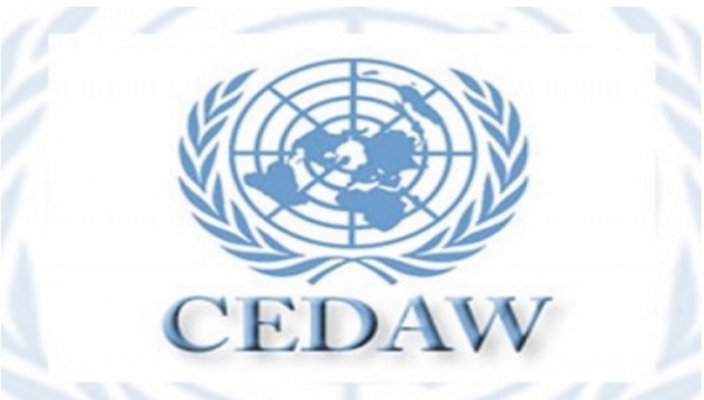 CEDAW, ST-nevnd