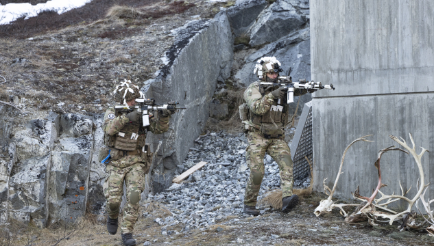 Danskir hermenn í Grønlandi, verja í Grønlandi