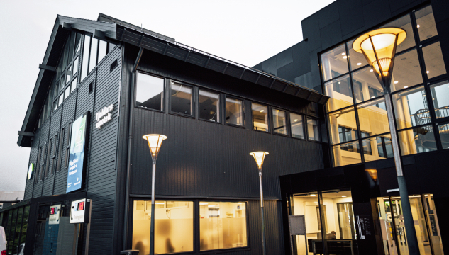 Tjaldurs apotek, apotek, heilivágur