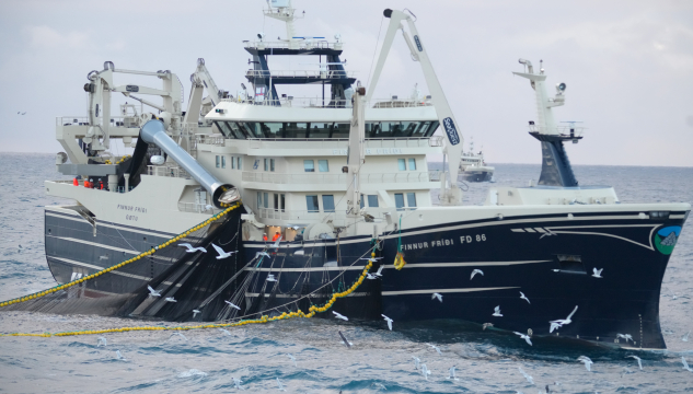 Finnur Fríði, Makrelur, Sild, Lodna, Uppsjóvarskip, Uppsjóvarfiskiskapur, Uppsjóvarfiskur fiskiskapur