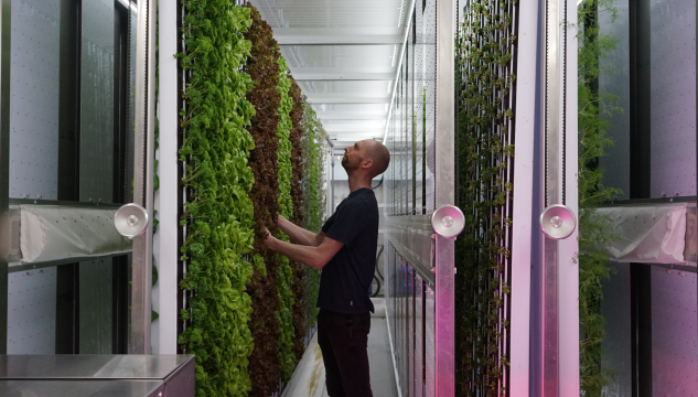 Spírar og Sporar, konteynari