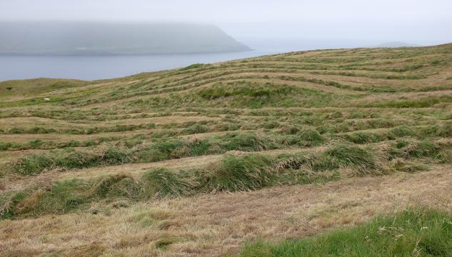 landbúnaður, jørð, hoyggj, hoygging, velting