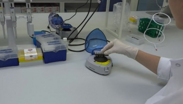 FarGen, Fargen, ílegugransking