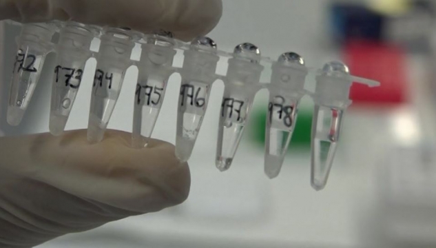 FarGen, Fargen, ílegugransking