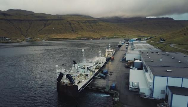 Faroe Pelagic, uppsjóvarvirki,