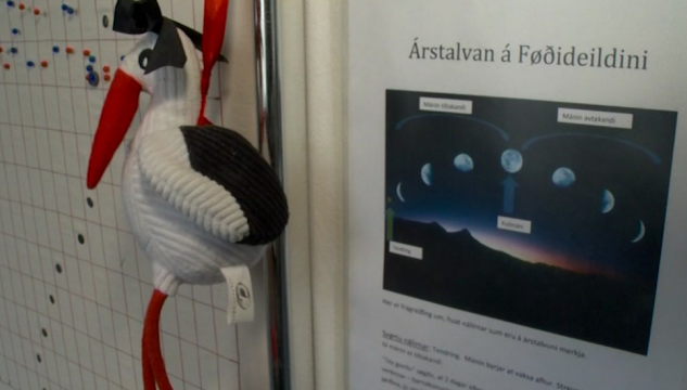 Føðideild, Landssjúkrahúsið