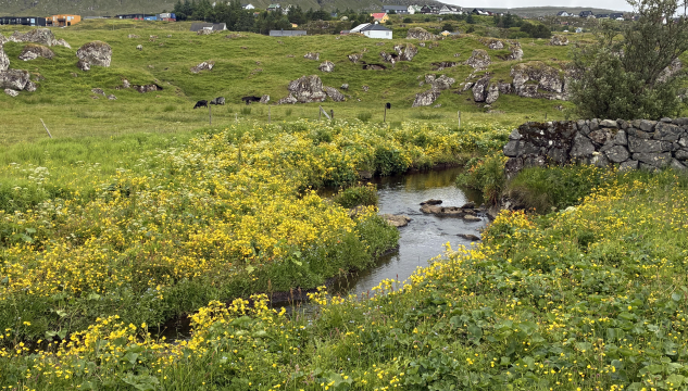 Fríøkið Hoydalar