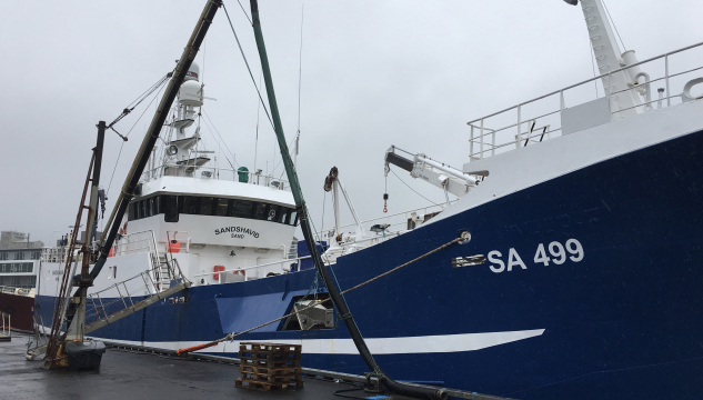 Sandshavið, línuskip, frystilínuskip