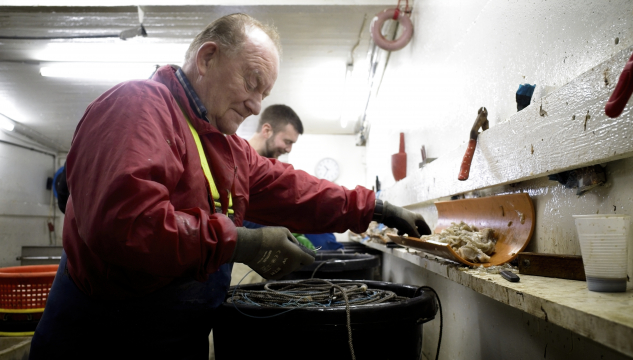 Gert Hansen, egnur, Runavík