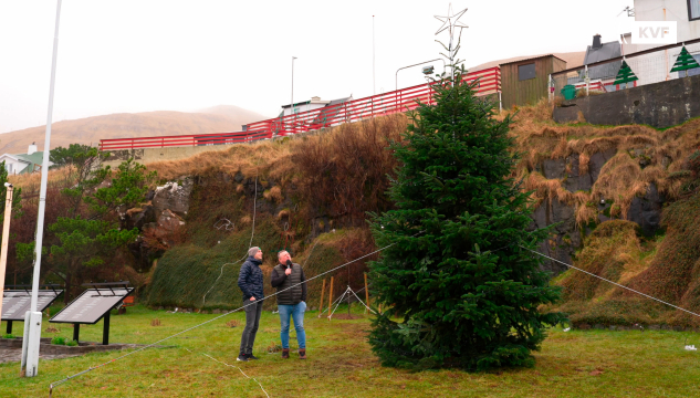 Jólatræ gróðursett í Vági