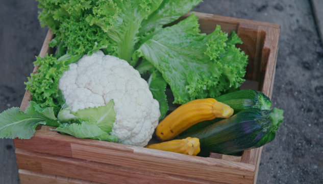 Grønmeti Veltan Sandur 