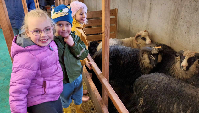 Heystfagnaður á Eiði, seyðasýning