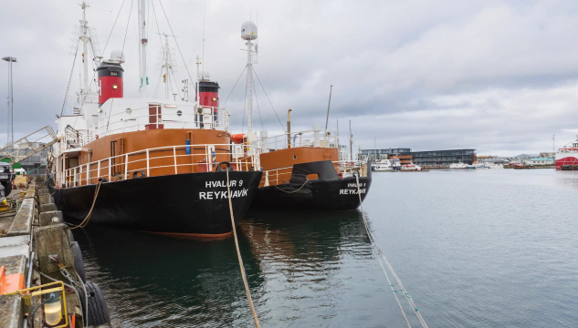 Íslendskir hvalabátar, íslendsk hvalaveiða, Hvalur 8 og Hvalur 9, Hvalaveiða í Íslandi