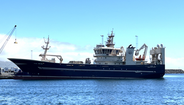 Barði, uppsjóvarskip
