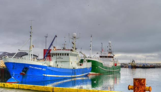 Ísland, fiskivinna, fiskiskip