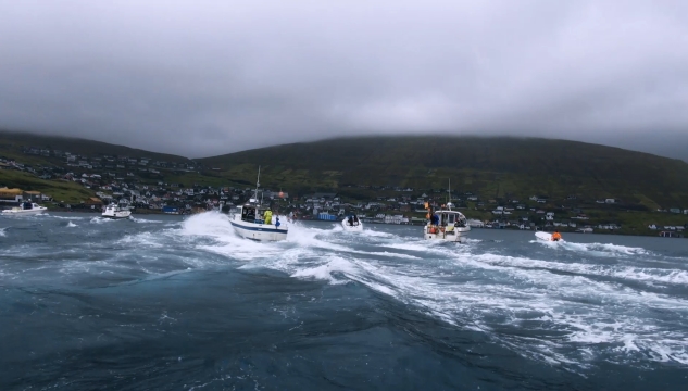 The Islands and the Whales
