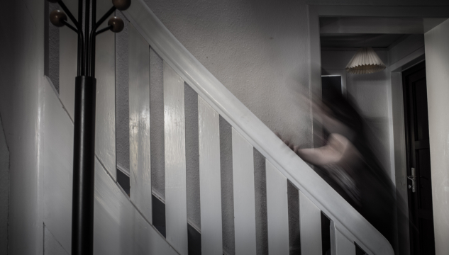 Kvinnuhúsið, harðskapur í parløgum, harðskapsmál, børn og harðskapur,