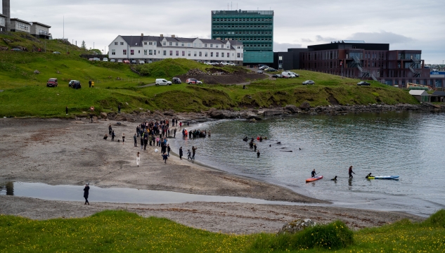 Sandagerð, Sandágerð, merkja hvalir, grind