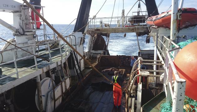 Magnus Heinason, dekkið, dekk, havrannsóknarskip