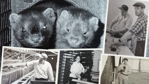 Minkagarðurin í Hoydølum, Við Tórði á túri