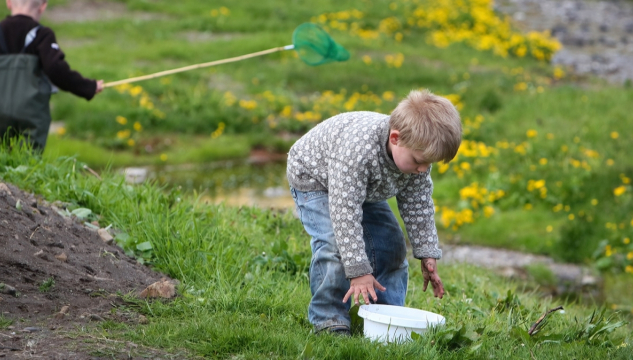 Dreingjanøvn í 2024