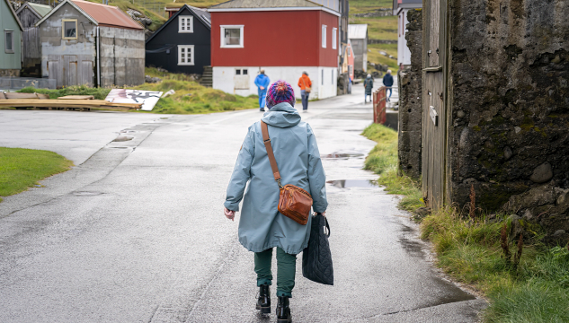 fólkavøkstur, fólkatal