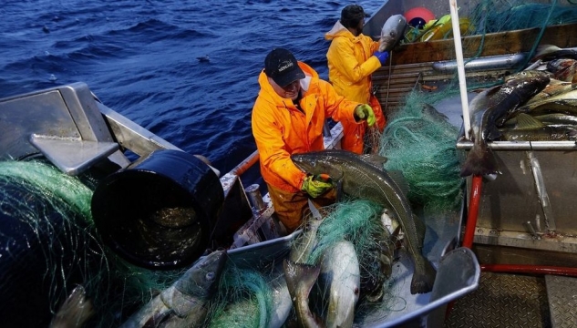 Norsk fiskivinna, fiskivinna í Noregi