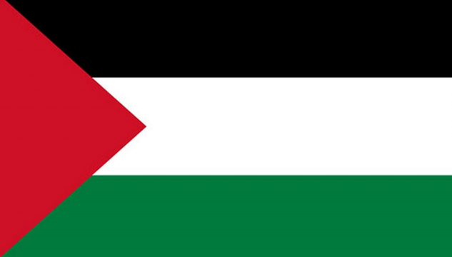 Palestinskt flagg