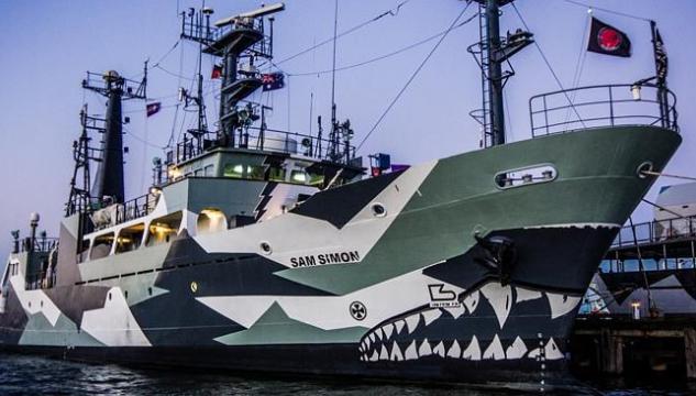 Sam Simon, Sea Shepherd