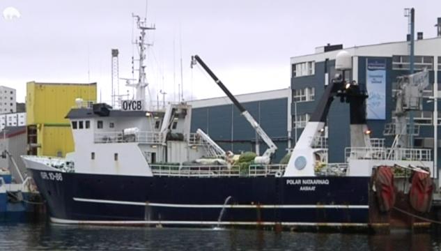 Grønlendskur trolari, Grønland, trolari