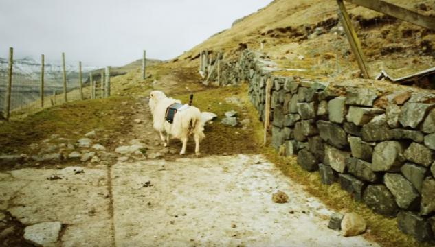 Sheep View, fyrireikingar