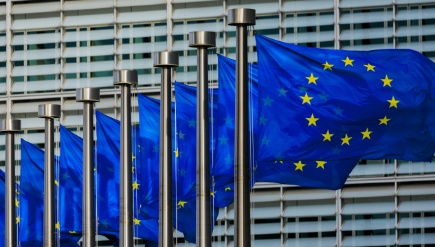 ES-flagg, ES-fløgg, Evropasamveldið