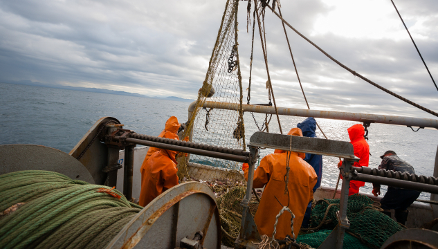 fiskiskapur, fiskivinna, fiskiskip