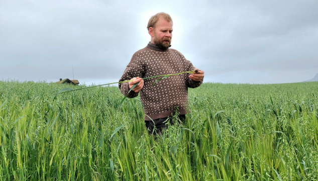 Sigert Patursson, bygg og havri á Vatnaskørðum