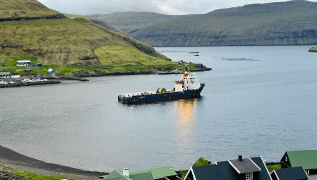 Sjóvarfalsdreki, sjókaðal í Vestmannasundi