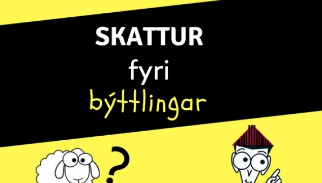 skattur_fyri_dummies.jpg