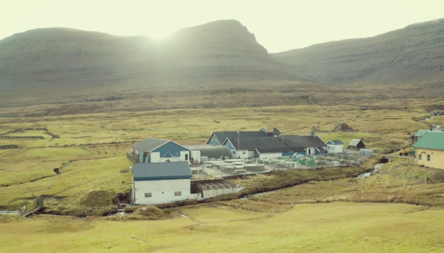 Smoltstøðin í Svínoy